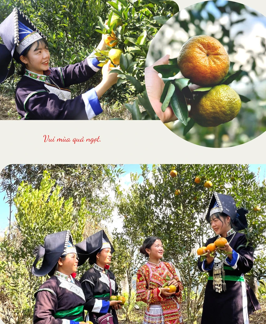 Cờ bay trên đỉnh Cô Tiên ảnh 7