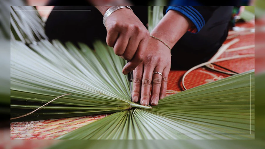 Giữ nghề làm "chúp cọ" ảnh 3