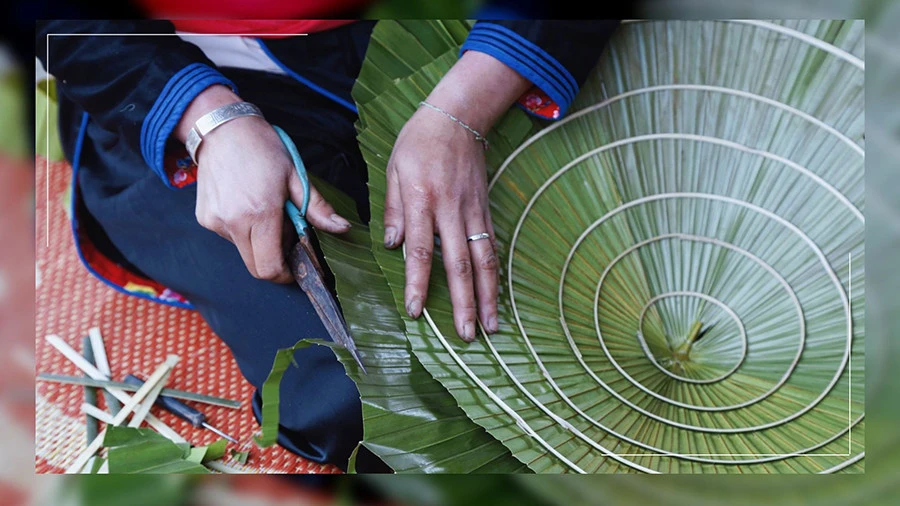 Giữ nghề làm "chúp cọ" ảnh 7