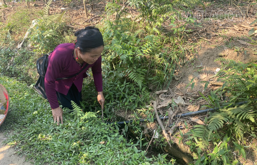 Bảo Yên: Hồ thủy lợi cạn khô, hơn 50 ha lúa nguy cơ mất mùa ảnh 5 Bảo Yên: Hồ thủy lợi cạn khô, hơn 50 ha lúa nguy cơ mất mùa ảnh 5