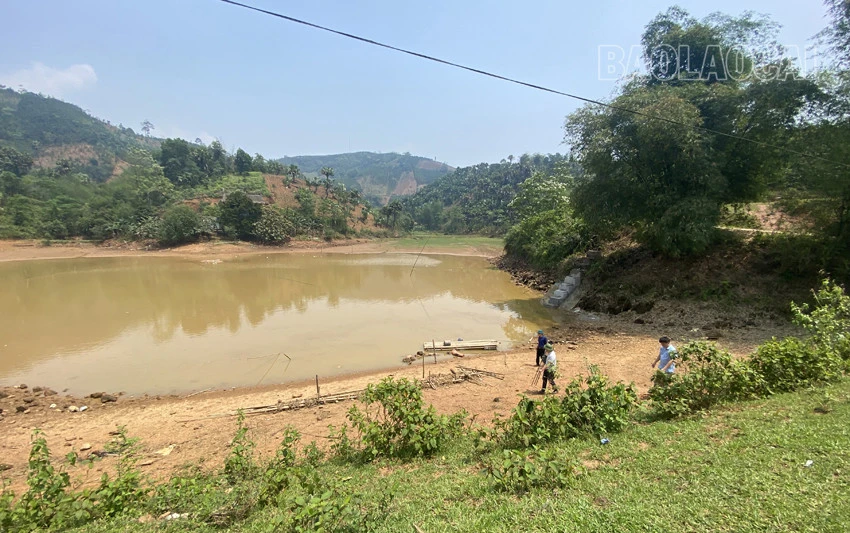Bảo Yên: Hồ thủy lợi cạn khô, hơn 50 ha lúa nguy cơ mất mùa ảnh 1