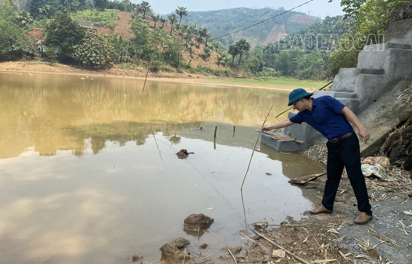 Bảo Yên: Hồ thủy lợi cạn khô, hơn 50 ha lúa nguy cơ mất mùa ảnh 2