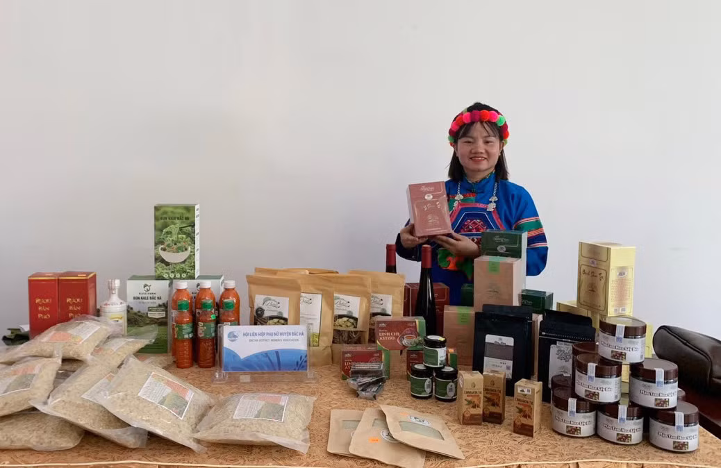 Dấn thân khởi nghiệp - chuyện của người trẻ hôm nay ảnh 1