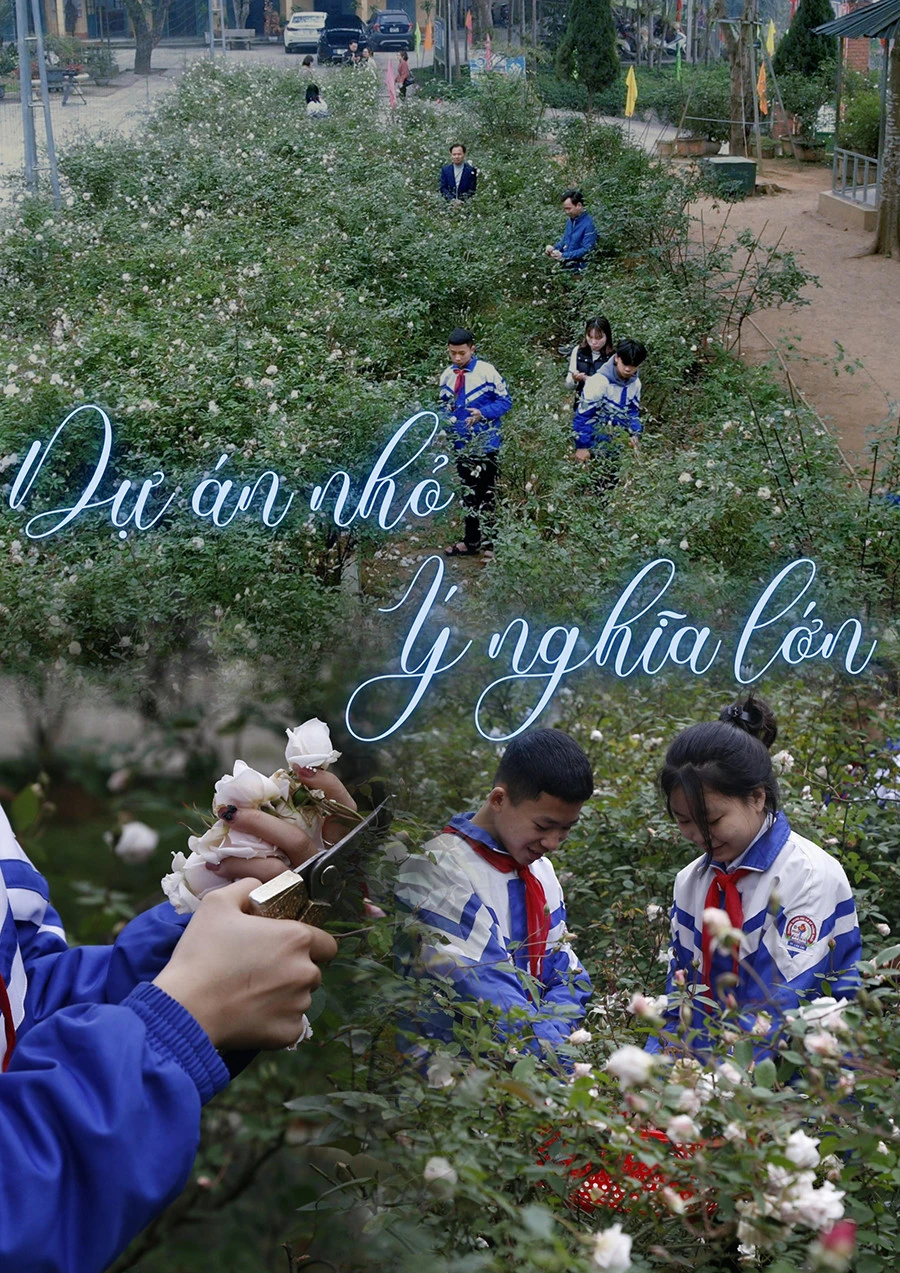 Dự án nhỏ - ý nghĩa lớn ảnh 1