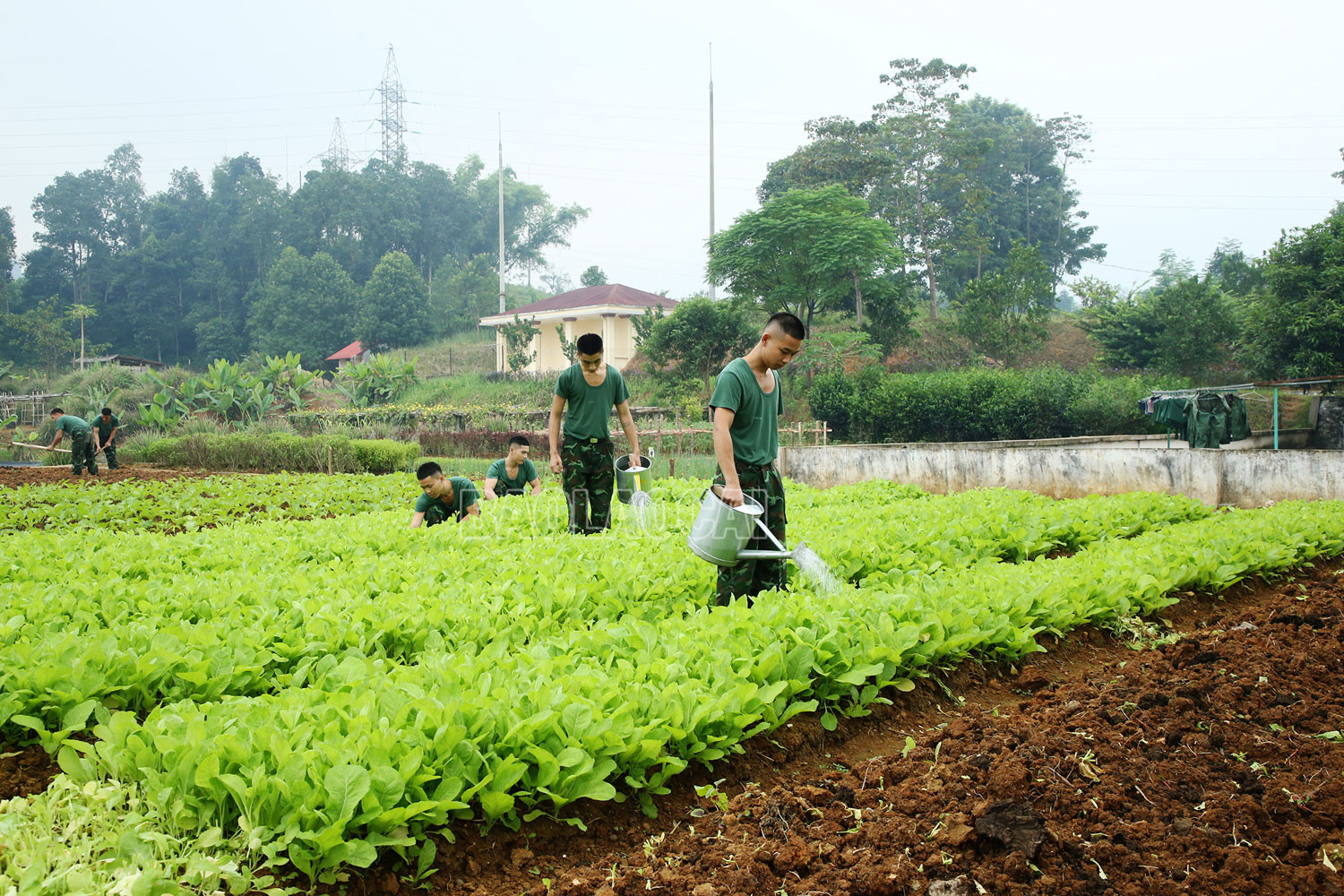 Nâng cao chất lượng công tác quân sự, quốc phòng trong tình hình mới ảnh 3 Nâng cao chất lượng công tác quân sự, quốc phòng trong tình hình mới ảnh 3