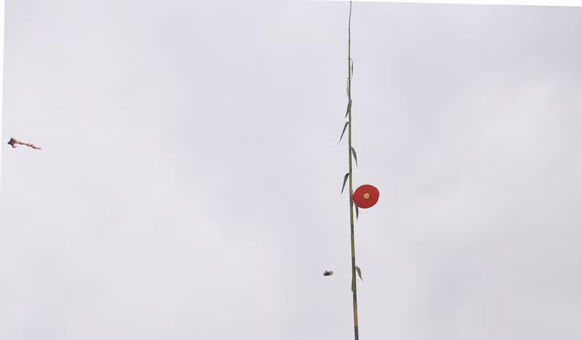 Đồng bào Giáy Mường Hum mở hội ném còn cầu năm mới mưa thuận gió hòa ảnh 4