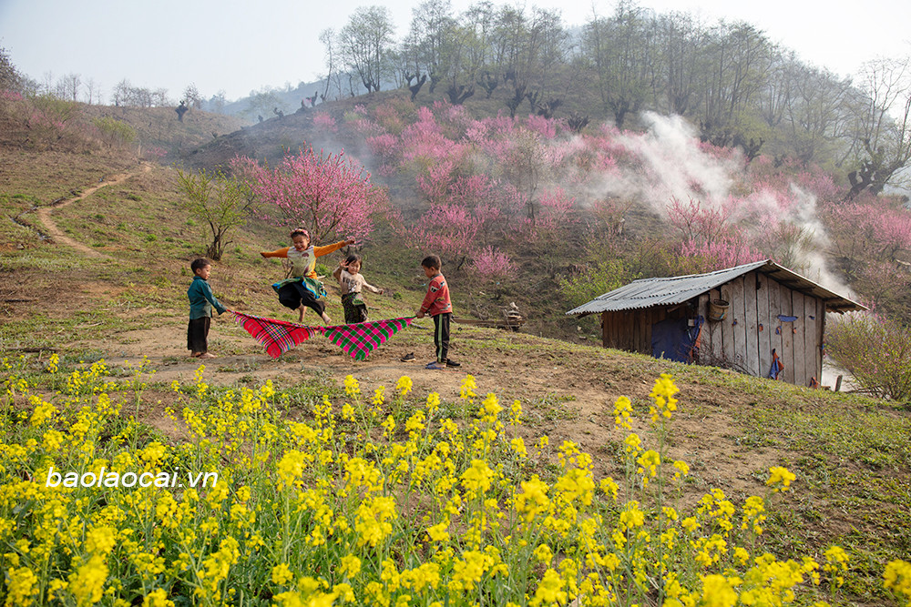 Phìn Hồ Thầu vào xuân. Ảnh: Ngọc Bằng. Phìn Hồ Thầu vào xuân. Ảnh: Ngọc Bằng.