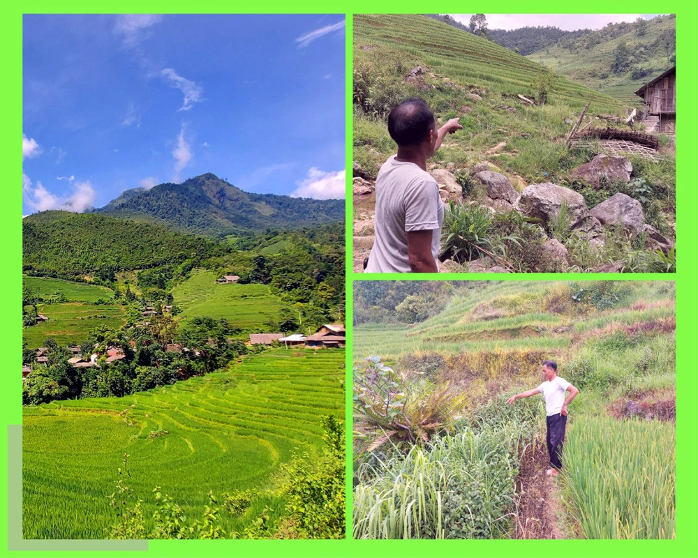 “ Kho báu” trên núi Nậm Ngấn ảnh 1