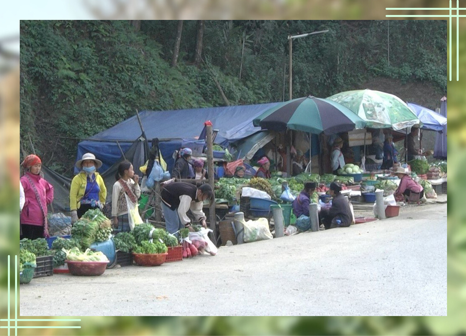 Người dân Sa Pa mang rau ra ven quốc lộ 4D bán nhưng ít người mua.