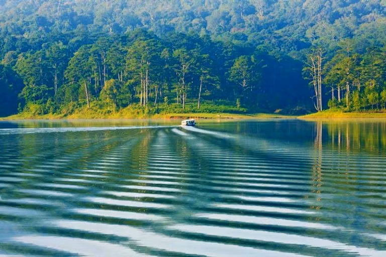 Với diện tích mặt nước khoảng 350ha, hồ Tuyền Lâm được tạo thành bởi dòng suối Tía. Với diện tích mặt nước khoảng 350ha, hồ Tuyền Lâm được tạo thành bởi dòng suối Tía.