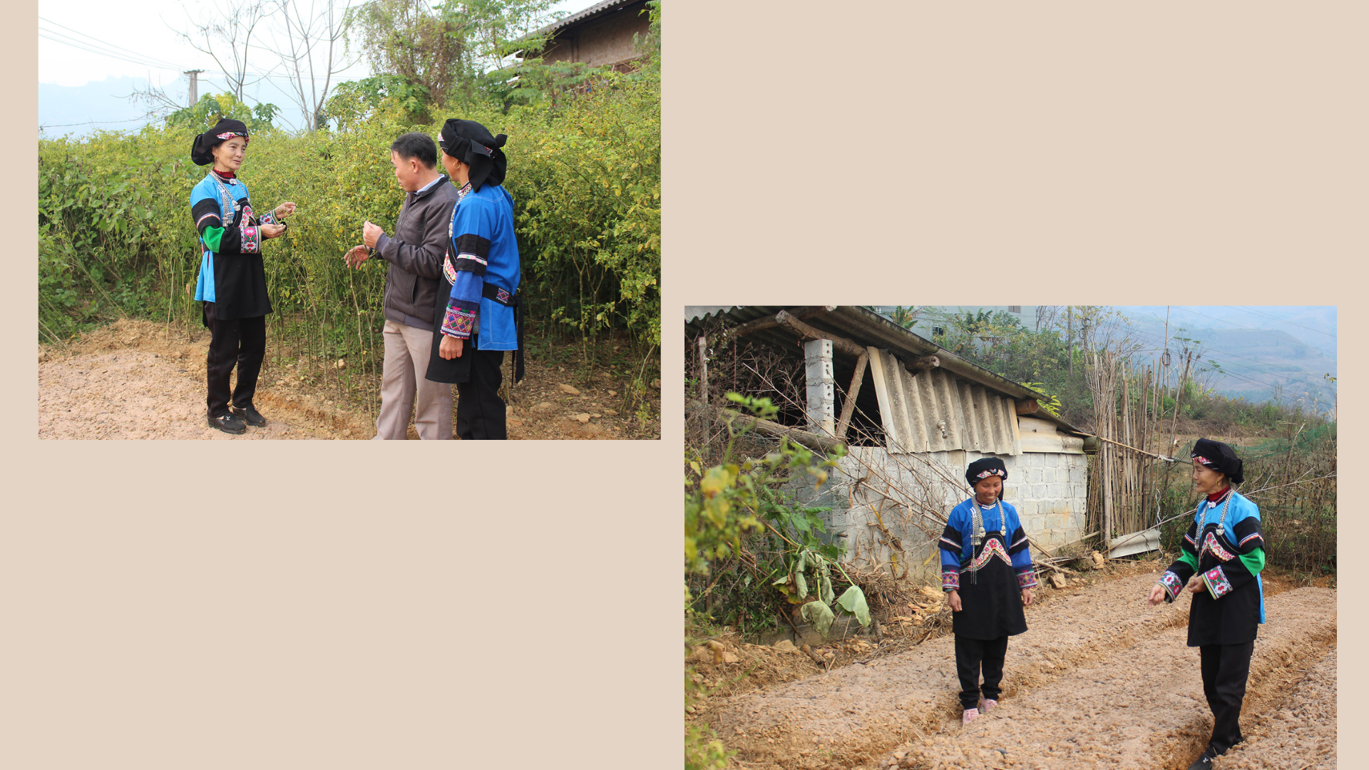 Nữ cán bộ mặt trận gieo "hạt giống" đoàn kết ảnh 2 Nữ cán bộ mặt trận gieo "hạt giống" đoàn kết ảnh 2