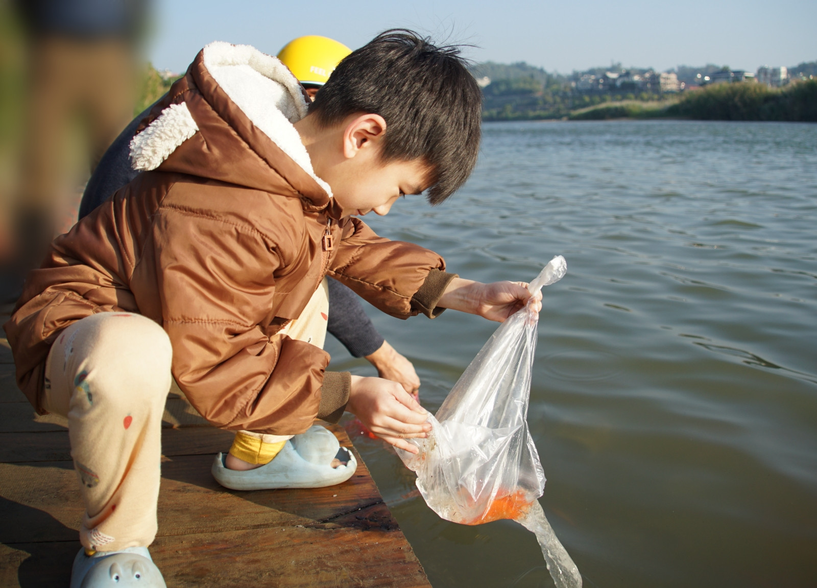 Thành phố Lào Cai tổ chức Ngày hội bảo vệ môi trường, thả giống phóng sinh ảnh 4 Thành phố Lào Cai tổ chức Ngày hội bảo vệ môi trường, thả giống phóng sinh ảnh 4