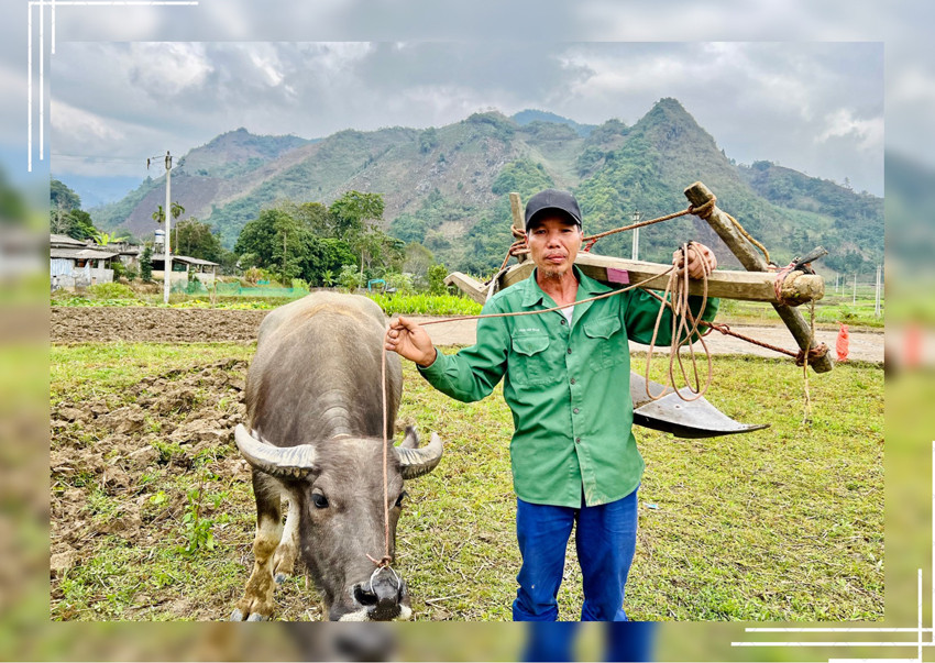 Đầu năm vui Lễ hội xuống đồng Trung Đô ảnh 4