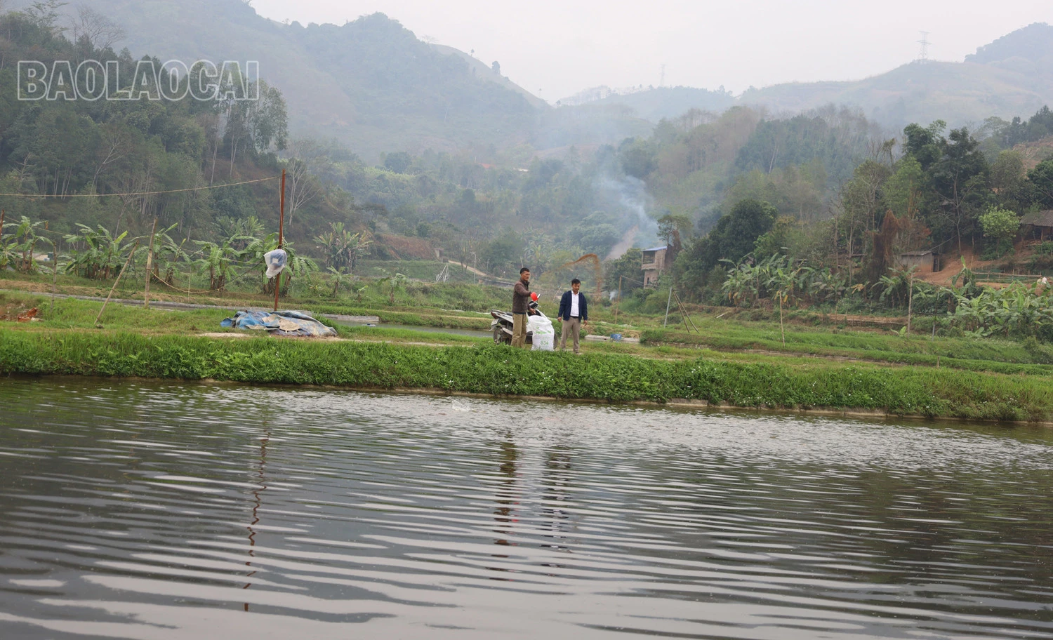 Bảo Thắng: Nâng cao giá trị thủy sản ảnh 3