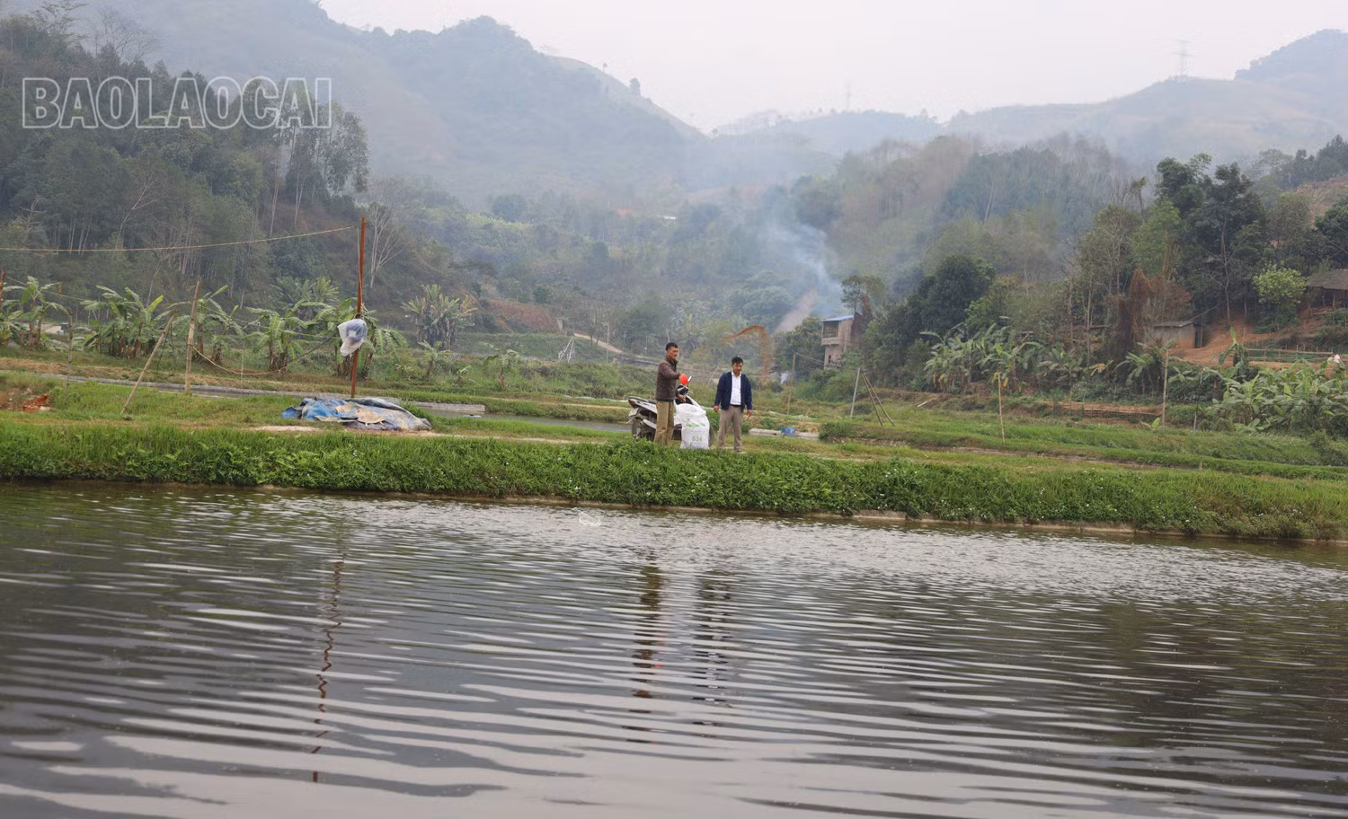 Bảo Thắng: Nâng cao giá trị thủy sản ảnh 3