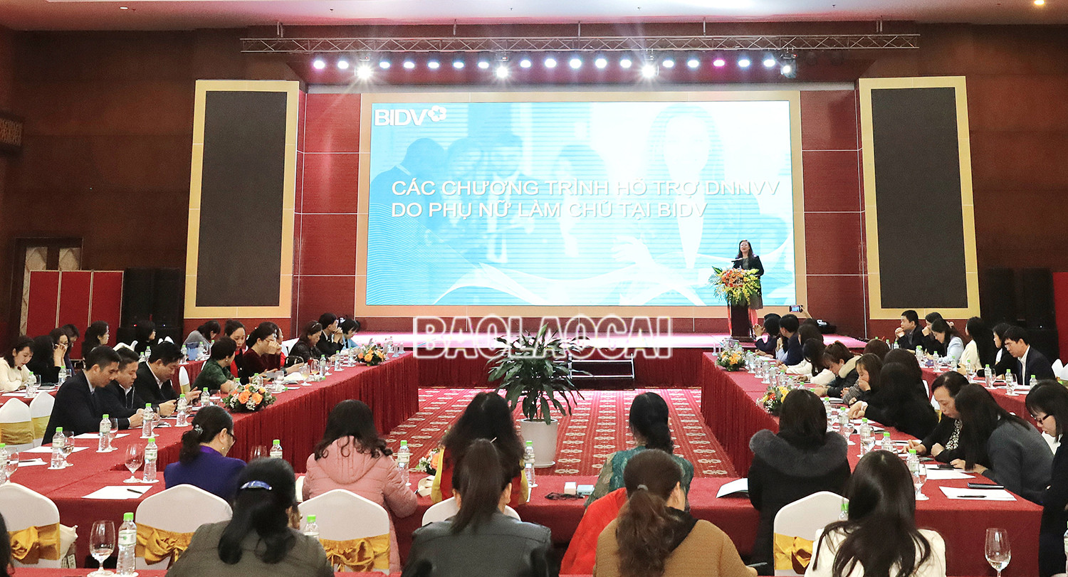 Kết nối ngân hàng và doanh nghiệp nhỏ và vừa do phụ nữ làm chủ ảnh 1