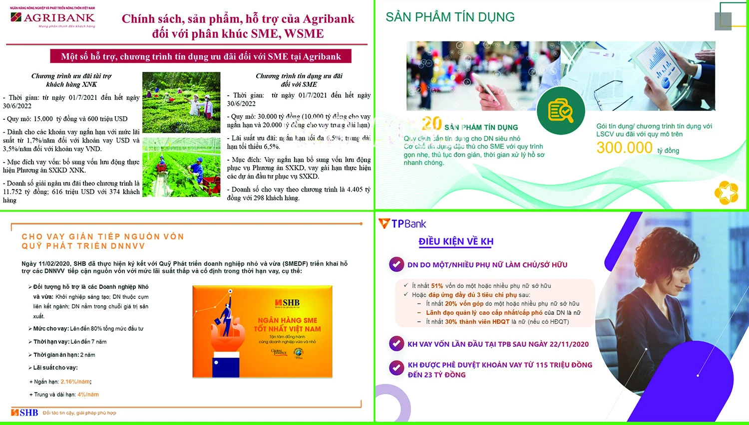 Kết nối ngân hàng và doanh nghiệp nhỏ và vừa do phụ nữ làm chủ ảnh 4