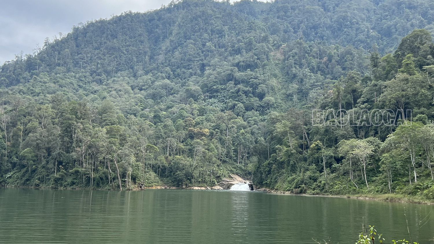 Giao trên 2.300 ha rừng cho 7 cộng đồng quản lý ảnh 2 Giao trên 2.300 ha rừng cho 7 cộng đồng quản lý ảnh 2