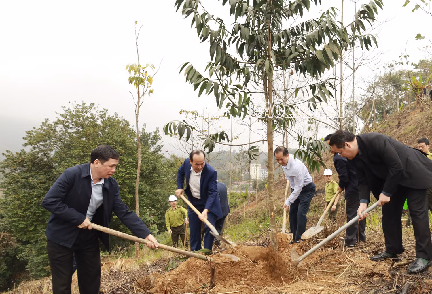 UBND tỉnh phát động phong trào thi đua xây dựng nông thôn mới và sản xuất nông nghiệp hàng hóa ảnh 5