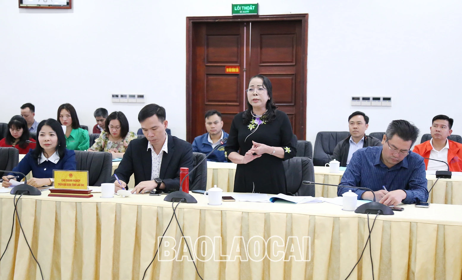 UBND tỉnh gặp gỡ doanh nghiệp thương mại, xuất - nhập khẩu, logistics ảnh 4