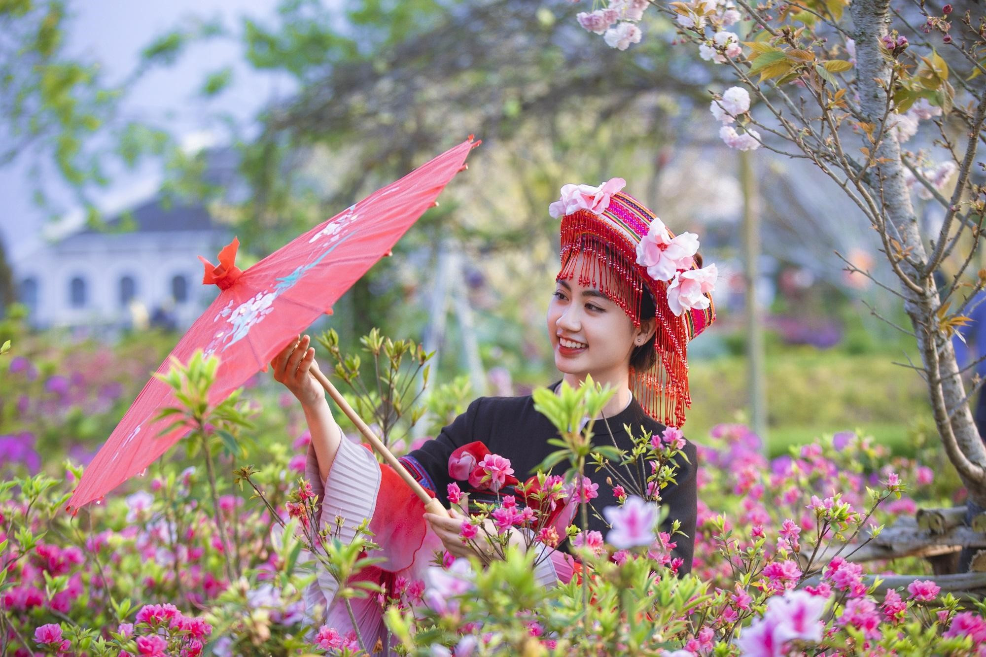 Thung lũng hoa Fansipan với đỗ quyên, hoa hồng, hoa đào, rum… bung nở rực rỡ. Thung lũng hoa Fansipan với đỗ quyên, hoa hồng, hoa đào, rum… bung nở rực rỡ.