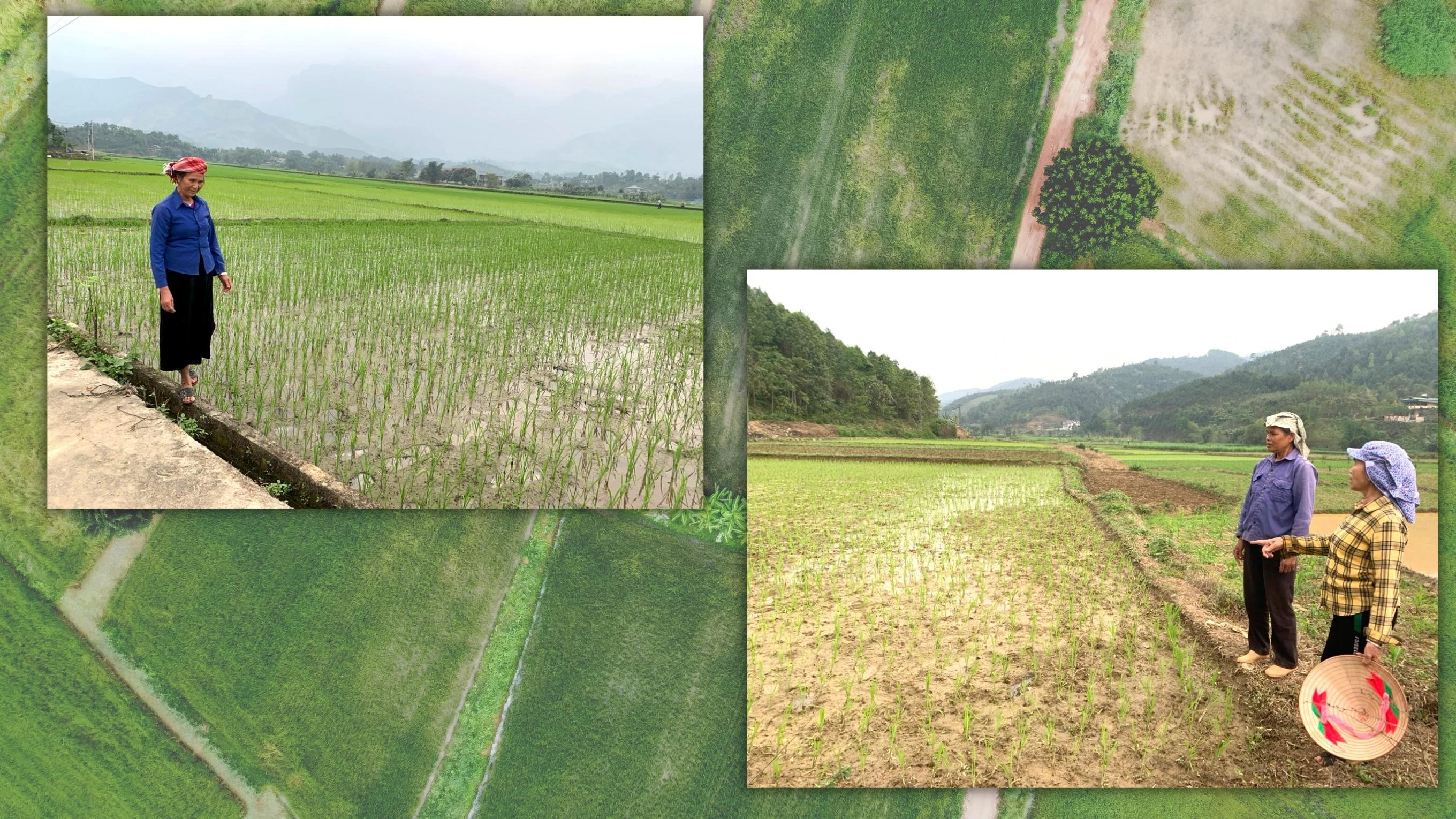 Mùa “chia” nước ảnh 2