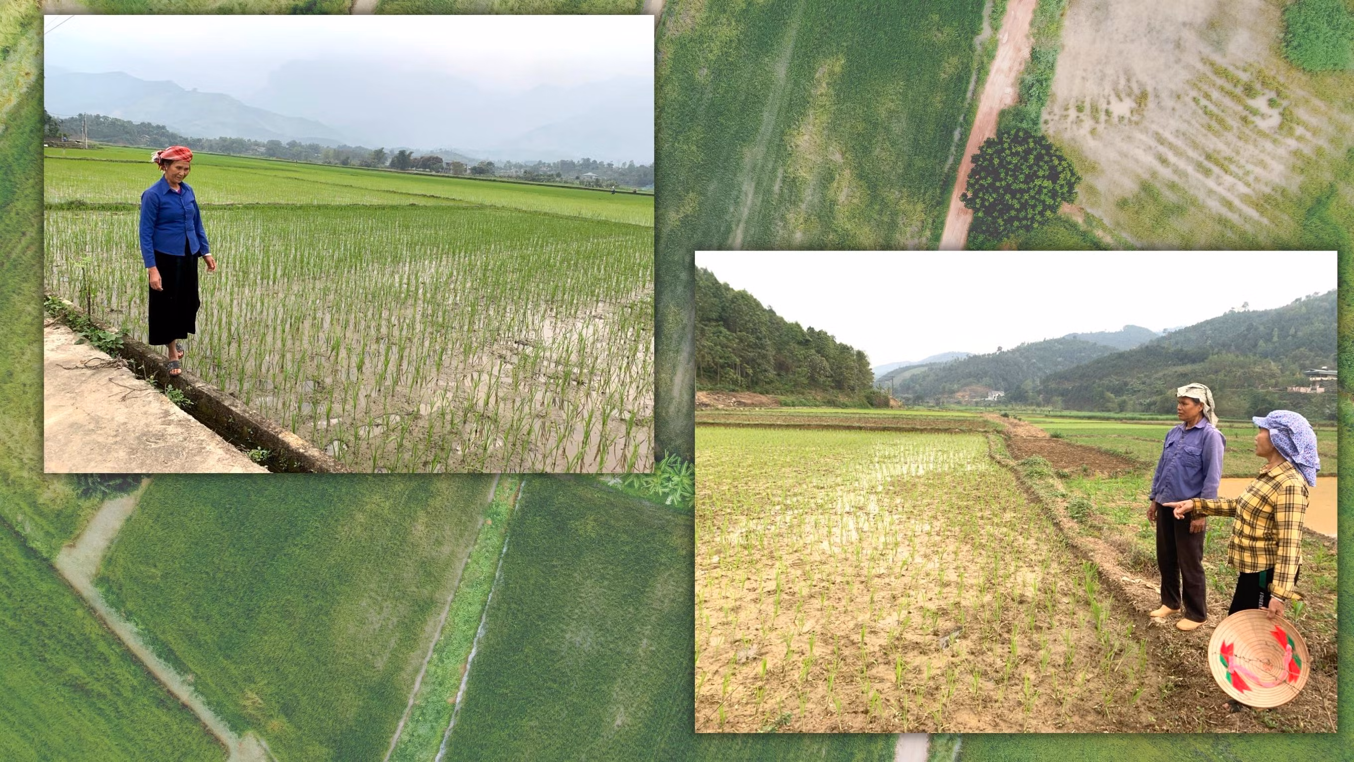 Mùa “chia” nước ảnh 2