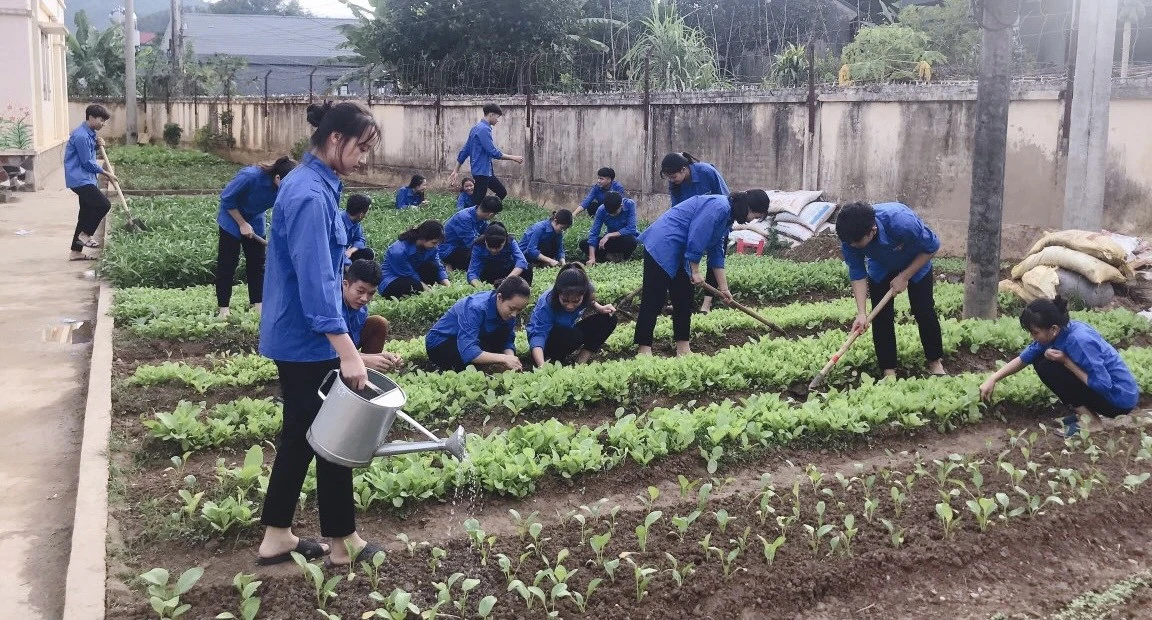 Lào Cai: Học sinh cấp THCS sẽ học 5 ngày/tuần ảnh 2