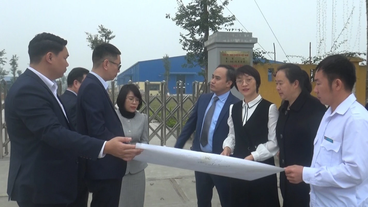 Triển khai 12 nhiệm vụ trọng tâm trong công tác hội nhập quốc tế ảnh 2