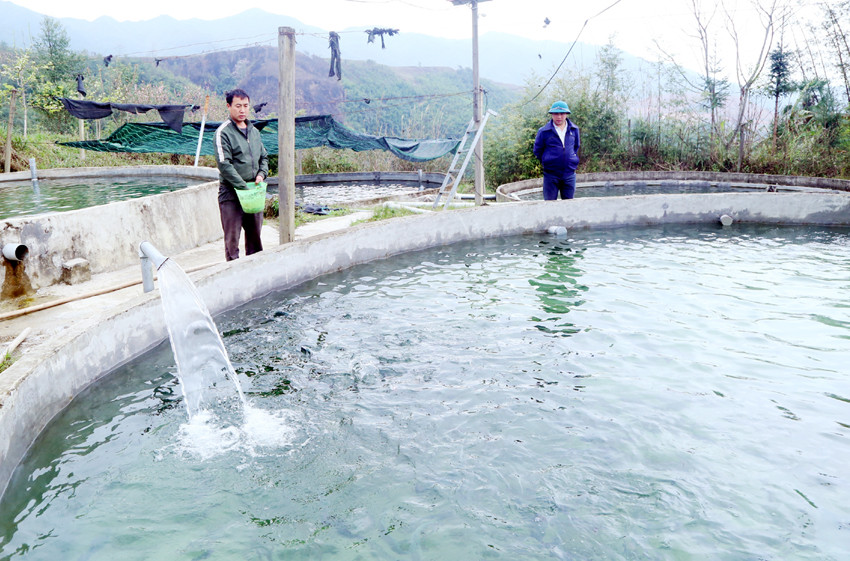 Niềm vui mới ở Kin Chu Phìn ảnh 3