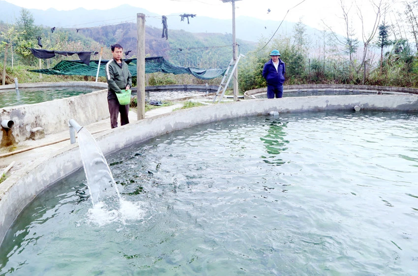 Niềm vui mới ở Kin Chu Phìn ảnh 3