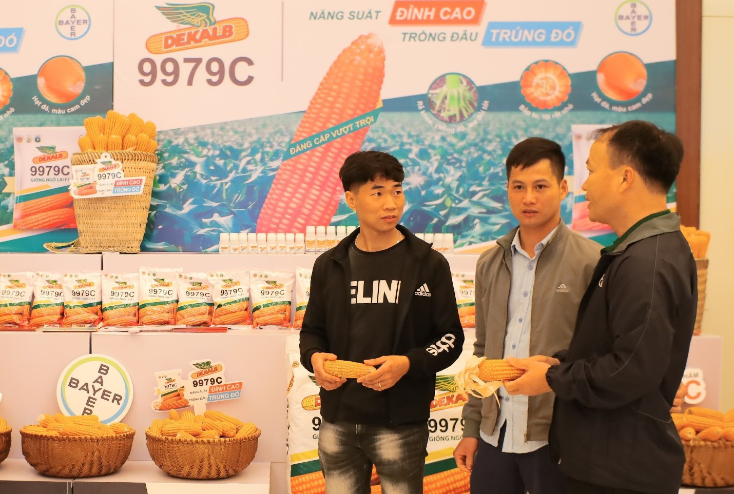 Giống ngô lai 9979C được kỳ vọng sẽ giúp nhà nông Việt Nam gia tăng sản lượng và thu nhập.