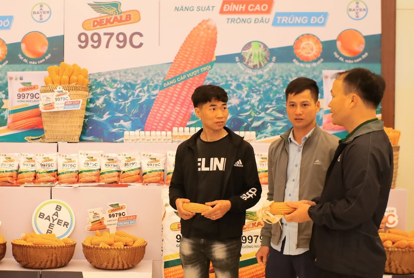 Giống ngô lai 9979C được kỳ vọng sẽ giúp nhà nông Việt Nam gia tăng sản lượng và thu nhập.