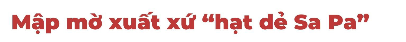 Nhức nhối nông sản gắn mác “Sa Pa” ảnh 2