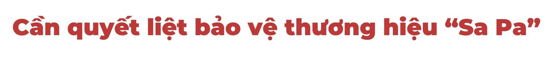 Nhức nhối nông sản gắn mác “Sa Pa” ảnh 10