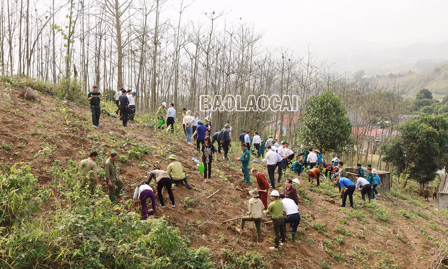 UBND tỉnh phát động phong trào thi đua xây dựng nông thôn mới và sản xuất nông nghiệp hàng hóa ảnh 7