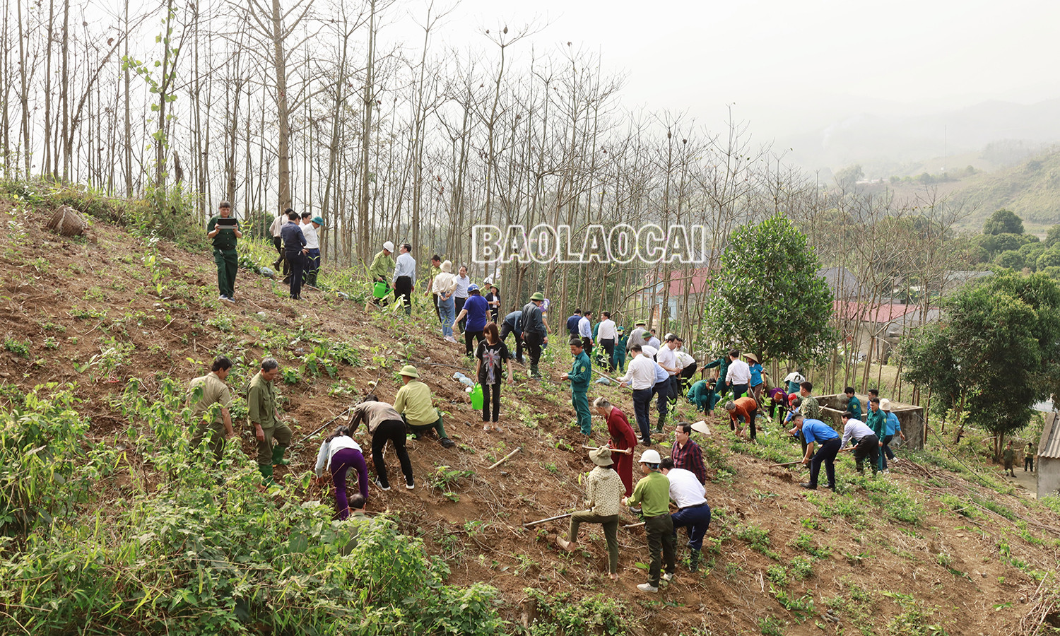 UBND tỉnh phát động phong trào thi đua xây dựng nông thôn mới và sản xuất nông nghiệp hàng hóa ảnh 7