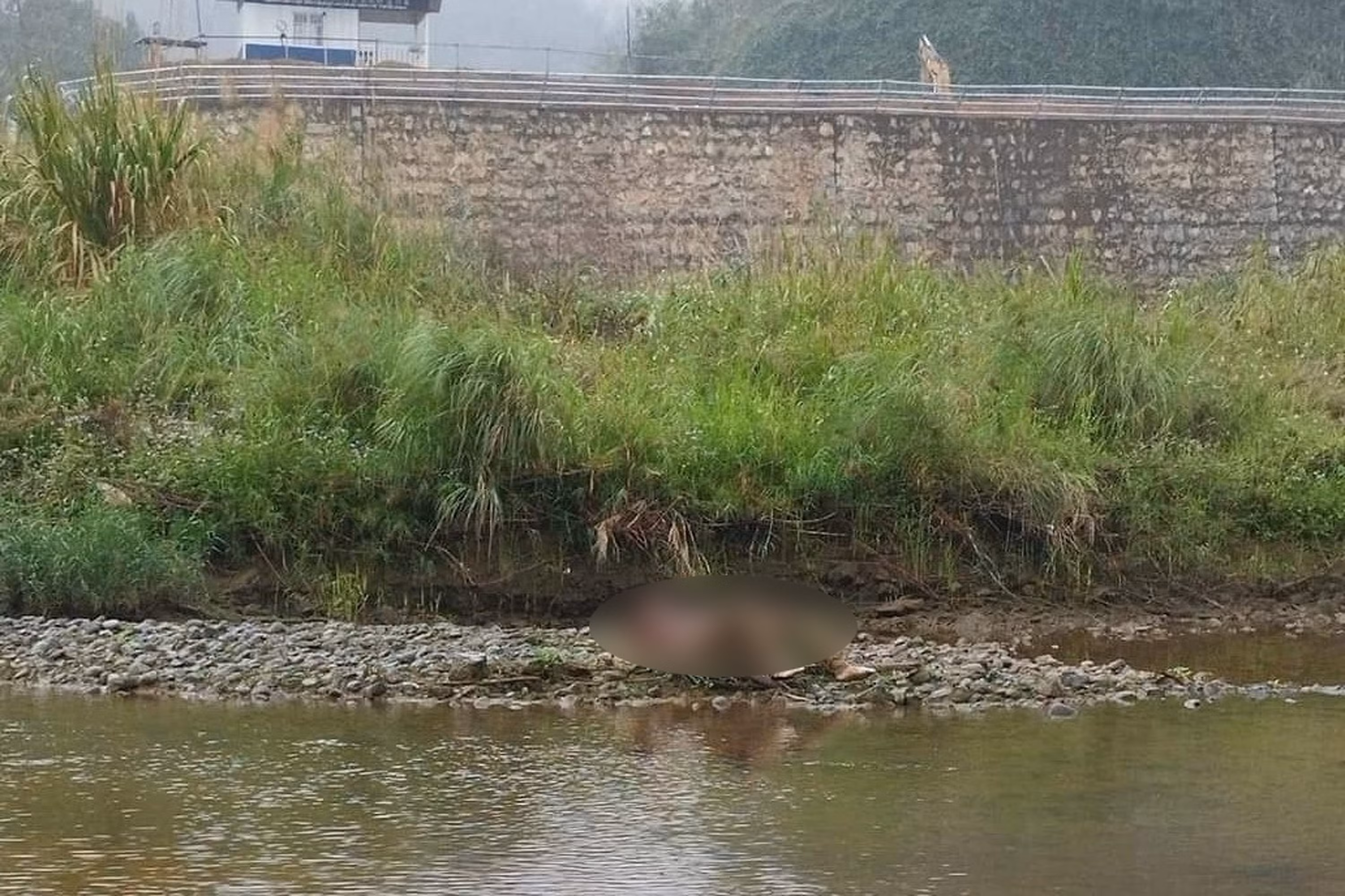 Tìm thấy thi thể còn lại trong vụ mất tích tại Bát Xát ảnh 1