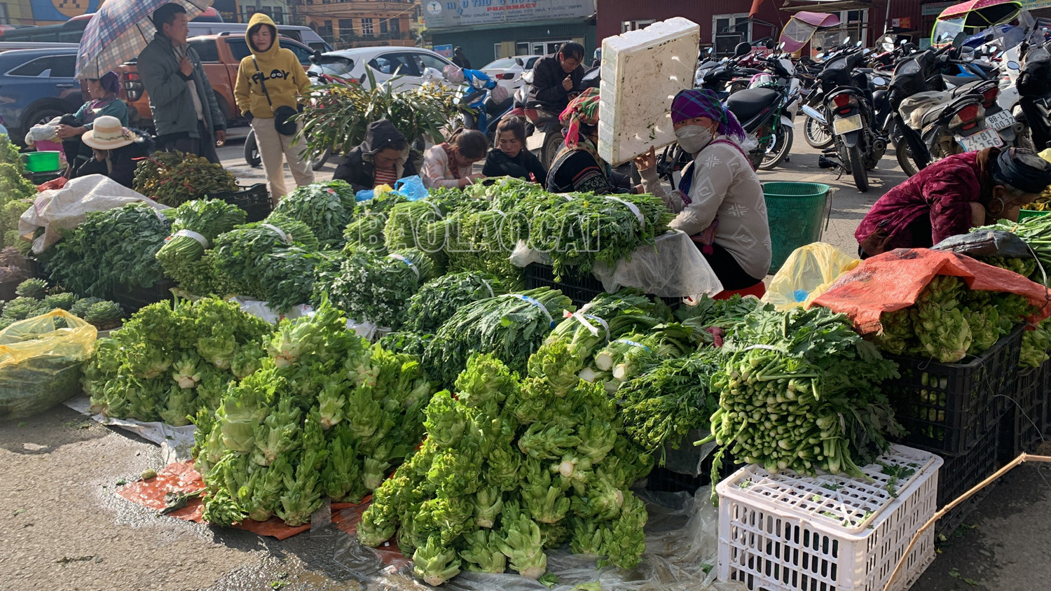 Nhức nhối nông sản gắn mác “Sa Pa” ảnh 6