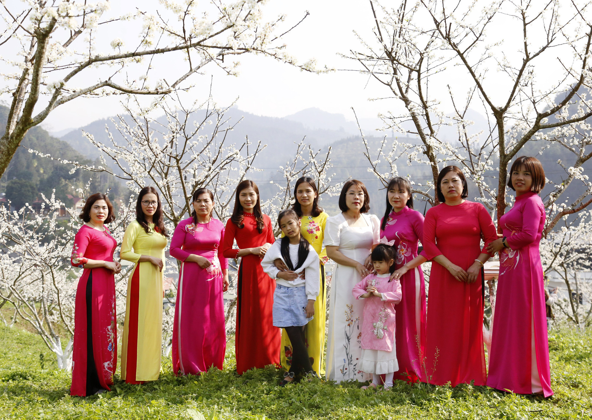 Du khách thích thú ngắm hoa mận trắng Bắc Hà ảnh 4 Du khách thích thú ngắm hoa mận trắng Bắc Hà ảnh 4