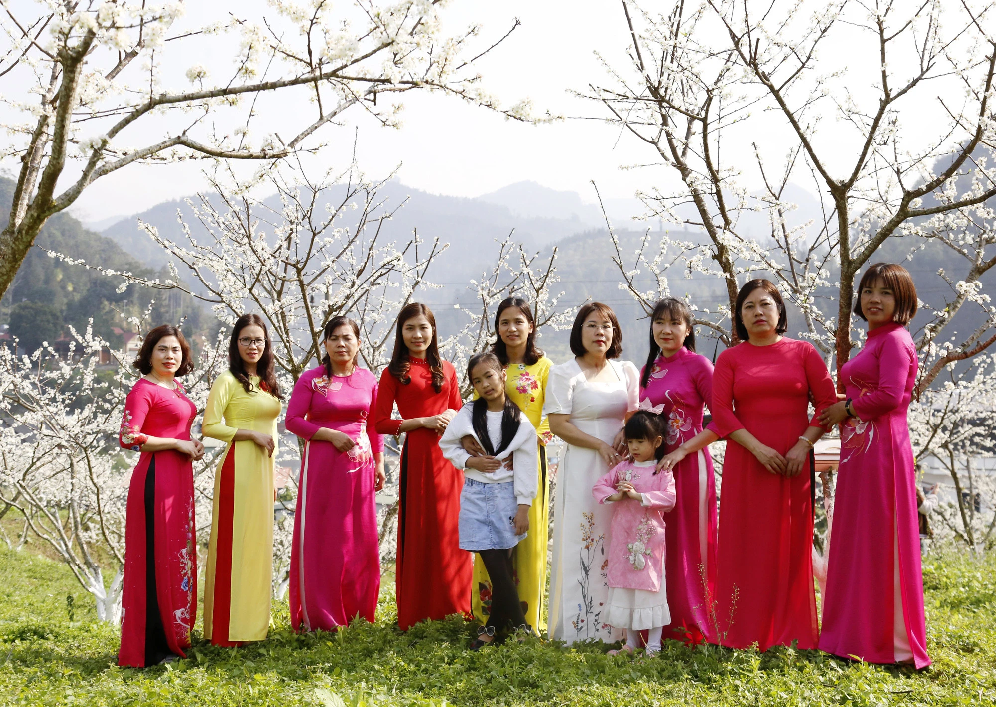 Du khách thích thú ngắm hoa mận trắng Bắc Hà ảnh 4