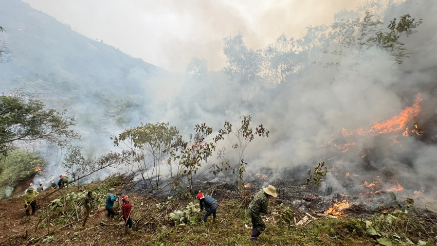 Tập trung ứng phó phòng, chống cháy rừng ảnh 2 Tập trung ứng phó phòng, chống cháy rừng ảnh 2
