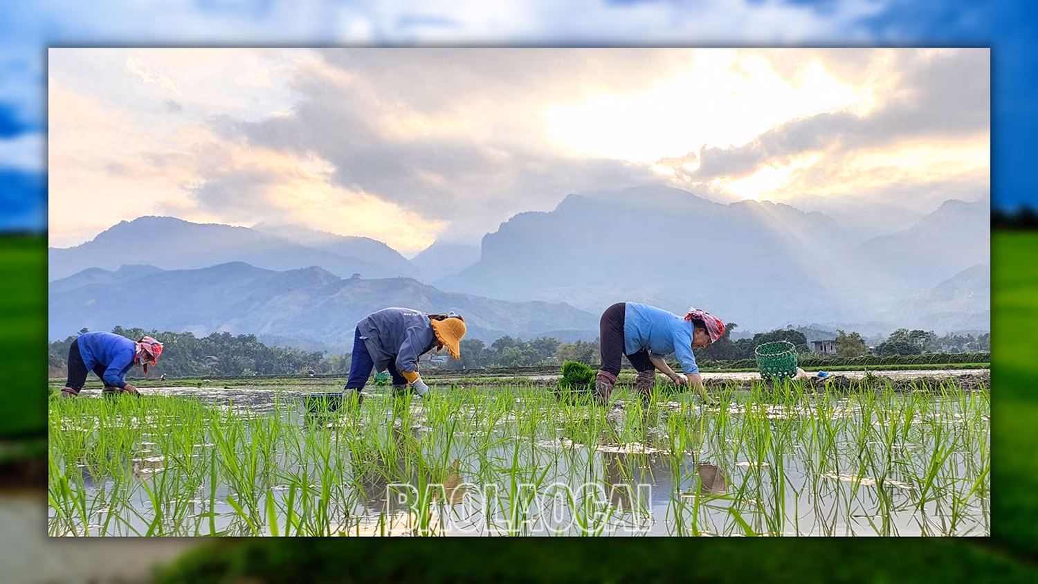 Đảm bảo nước cho sản xuất vụ xuân ảnh 3