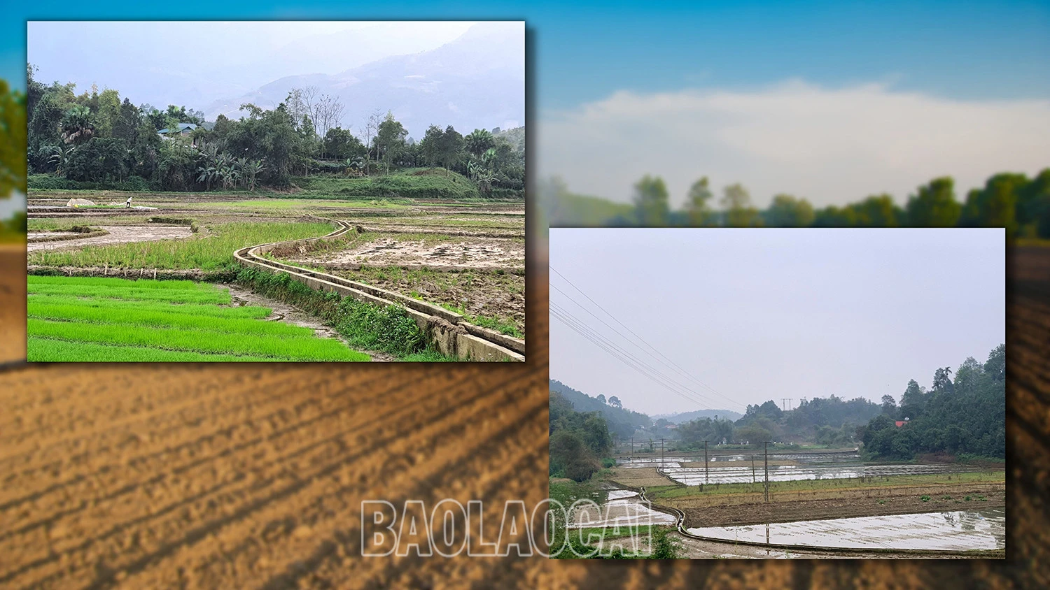 Đảm bảo nước cho sản xuất vụ xuân ảnh 1 Đảm bảo nước cho sản xuất vụ xuân ảnh 1