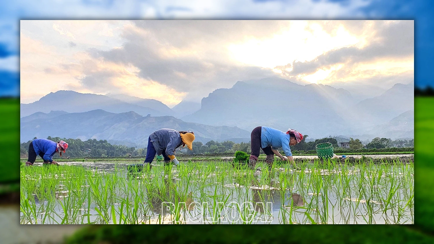 Đảm bảo nước cho sản xuất vụ xuân ảnh 3 Đảm bảo nước cho sản xuất vụ xuân ảnh 3