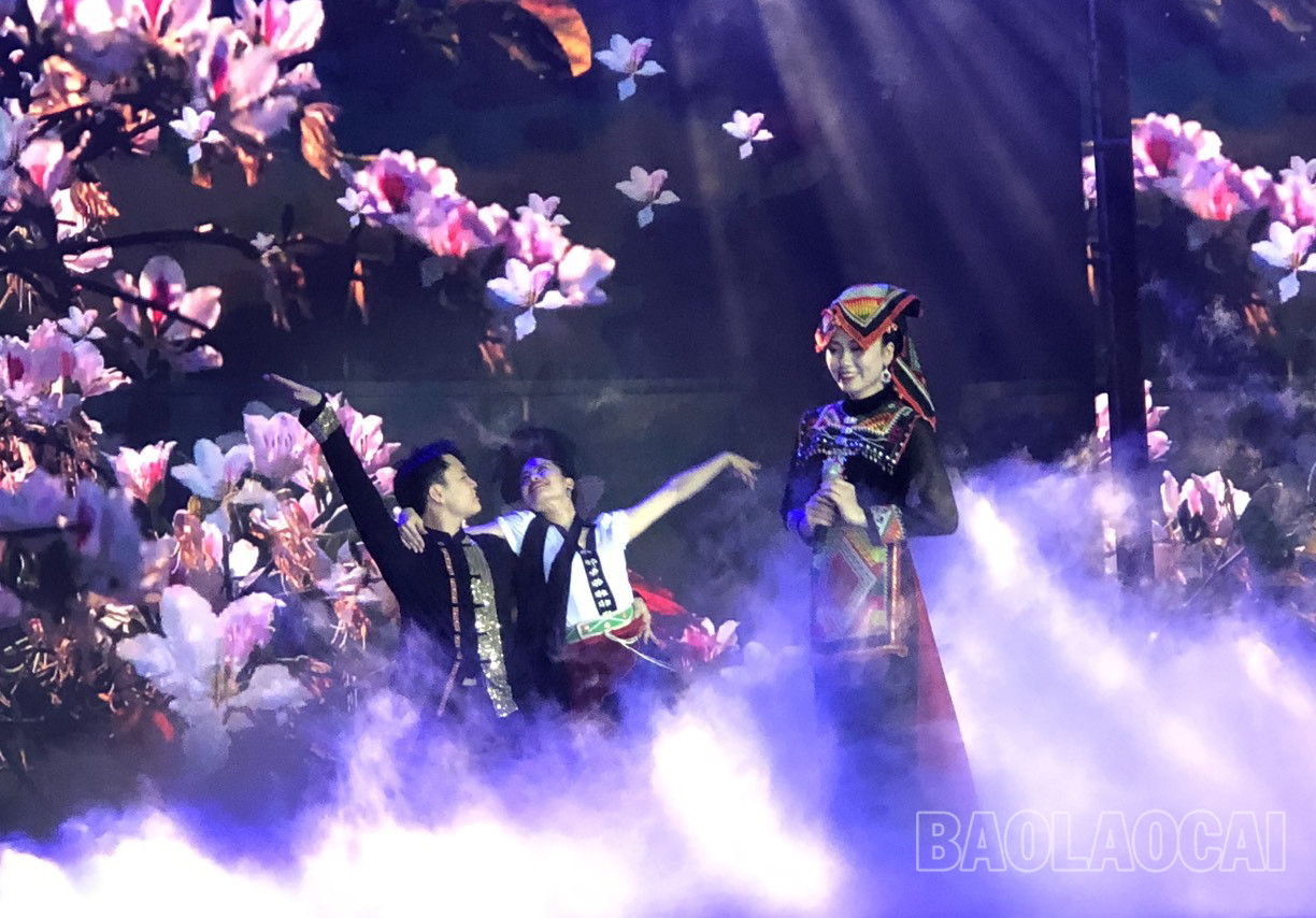 Chương trình nghệ thuật đặc biệt quảng bá du lịch Lào Cai - Tây Bắc tại Thành phố Hồ Chí Minh ảnh 3