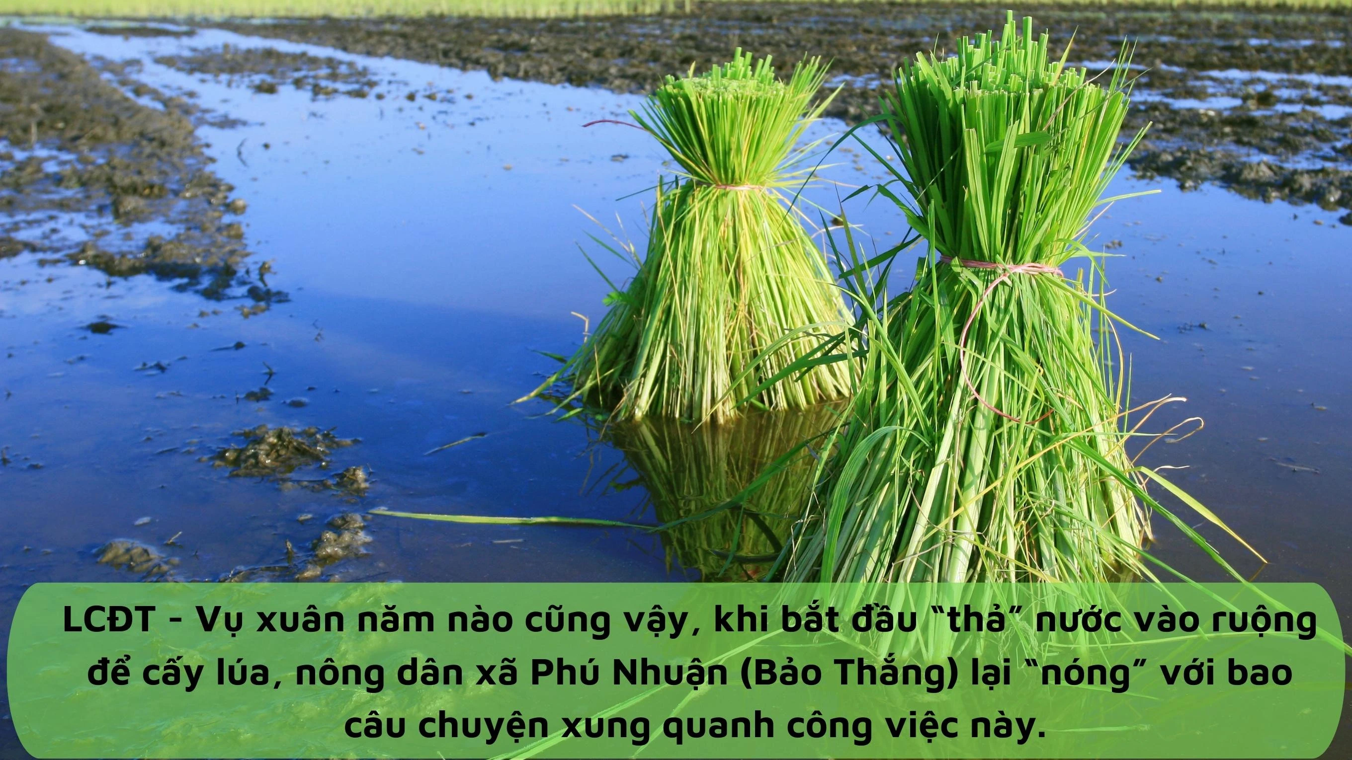 Mùa “chia” nước ảnh 1