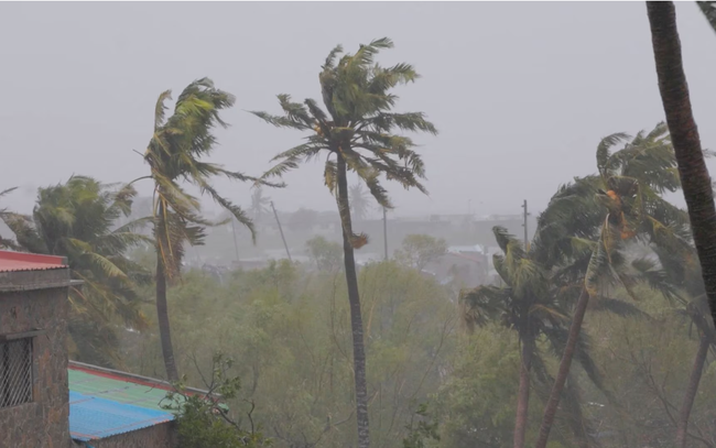 Bão Freddy ở Malawi và Mozambique: Số nạn nhân thiệt mạng tăng lên hơn 400 người ảnh 1 Bão Freddy ở Malawi và Mozambique: Số nạn nhân thiệt mạng tăng lên hơn 400 người ảnh 1