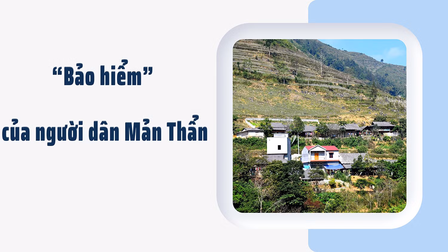 “Bảo hiểm” của người dân Mản Thẩn ảnh 1