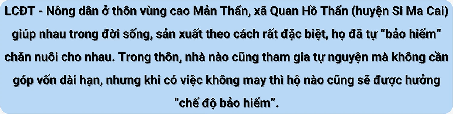 “Bảo hiểm” của người dân Mản Thẩn ảnh 2